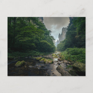 Forests Zhangjiajie National Forest Park Postcard
