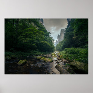 Forests   Zhangjiajie National Forest Park Poster