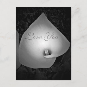 Forever & Always,Love_ Postcard