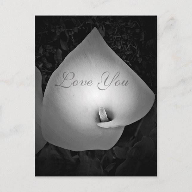 Forever & Always,Love_ Postcard (Front)