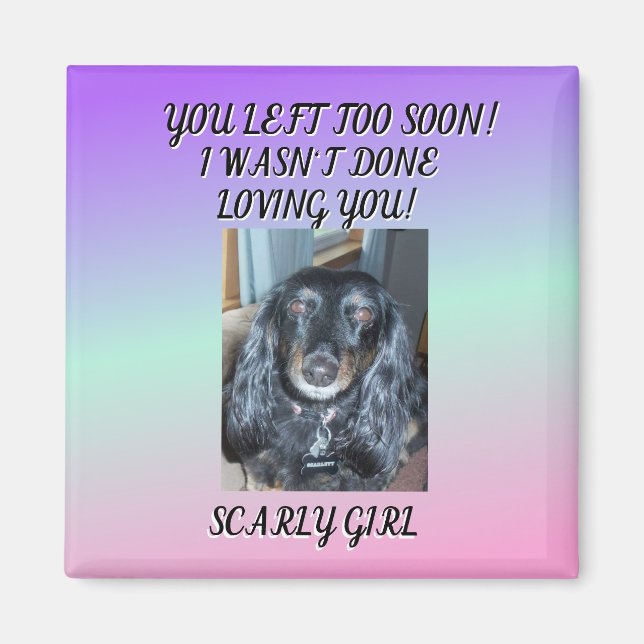 Forever Cherished: Tribute To My Fur Baby 1 photo Magnet (Front)