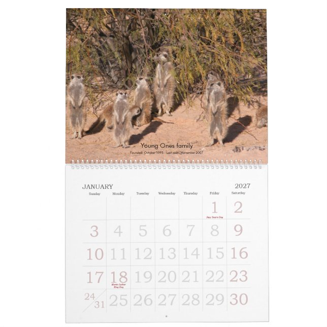 Forever Friends - Meerkat Calendar (Jan 2027)