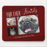 Forever Friends Pet Photo Collage Mouse Pad<br><div class="desc">3 photo pet collage mouse pad template is easy to use. All text can easily be changed. Great for the pet lover in your life.</div>
