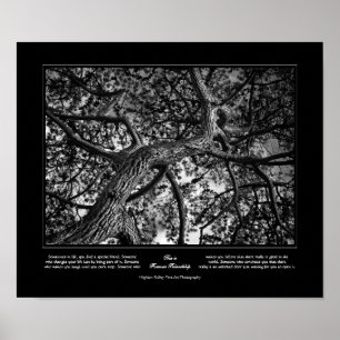 Forever Friendship, Canadian Pine, Fine Art Poster