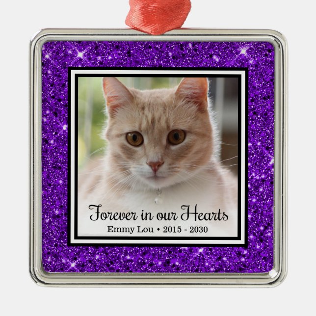Forever In Our Hearts Cat Metal Ornament (Front)