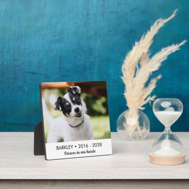Forever In Our Hearts Dog Memorial Photo Plaque (Insitu)