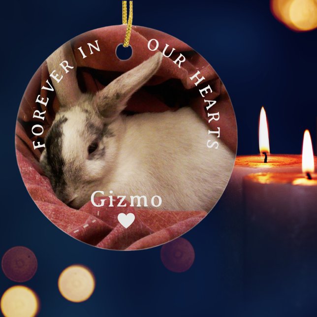 Forever In Our Hearts Personalised Pet Memorial Ceramic Ornament (Creator Uploaded)