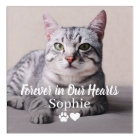 Forever in Our Hearts Pet Cat Photo Memorial