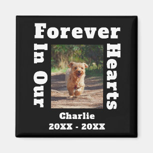 Forever In Our Hearts Pet Loss Sympathy Memorial Magnet