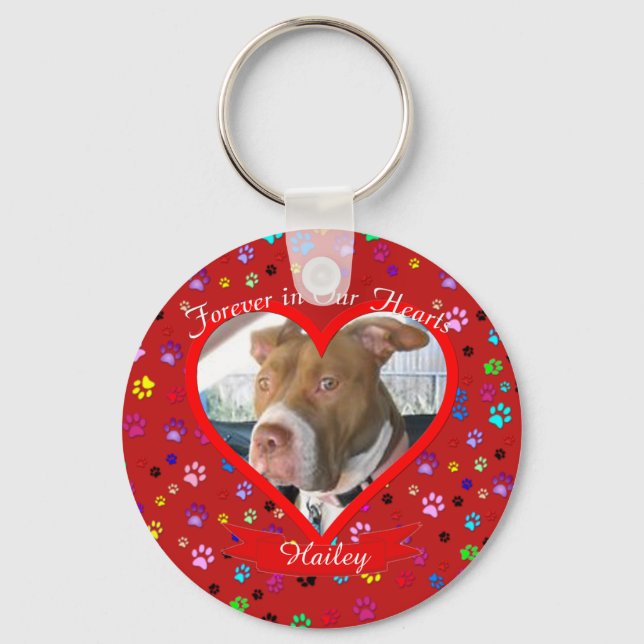 Forever In Our Hearts Pet Memorial Key Ring (Front)