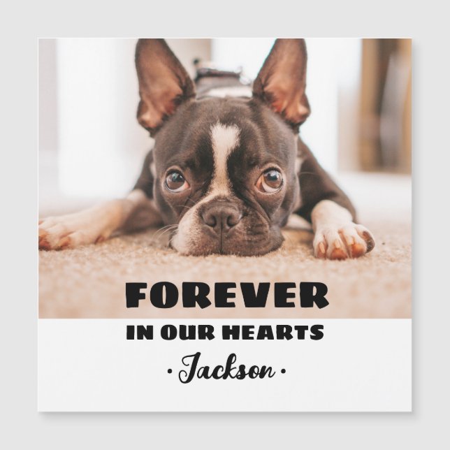 Forever In our Hearts Pet Memorial Magnetic Card (Front)