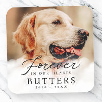 Forever in our Hearts Pet Memorial Modern Photo