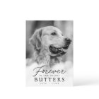 Forever in our Hearts Pet Memorial Modern Photo