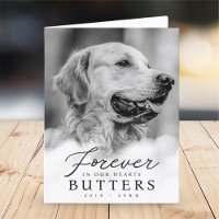 Forever in our Hearts Pet Memorial Modern Photo