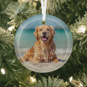 Forever in our Hearts Pet Memorial Name Photo Glass Tree Decoration