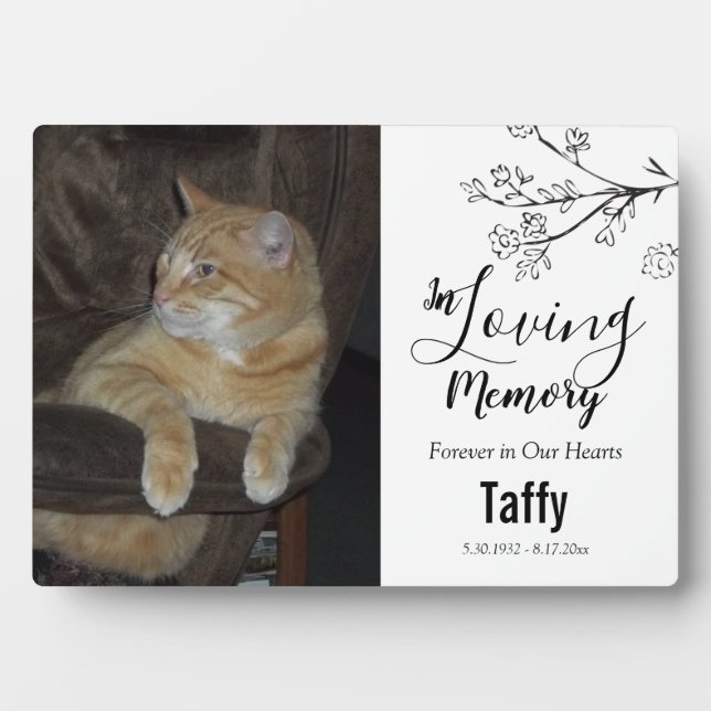 Forever in Our Hearts Pet Memorial One Photo Plaque (Front)