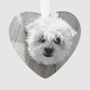 FOREVER IN OUR HEARTS Pet Memorial PHOTO Keepsake Ornament