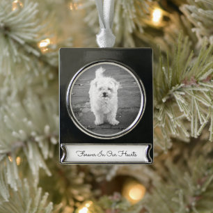 FOREVER IN OUR HEARTS Pet Memorial PHOTO Keepsake Silver Plated Banner Ornament
