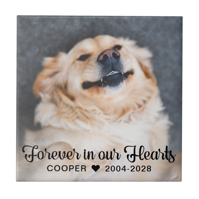 Forever in our Hearts Pet Memorial Photo Plaque Ceramic Tile (Front)