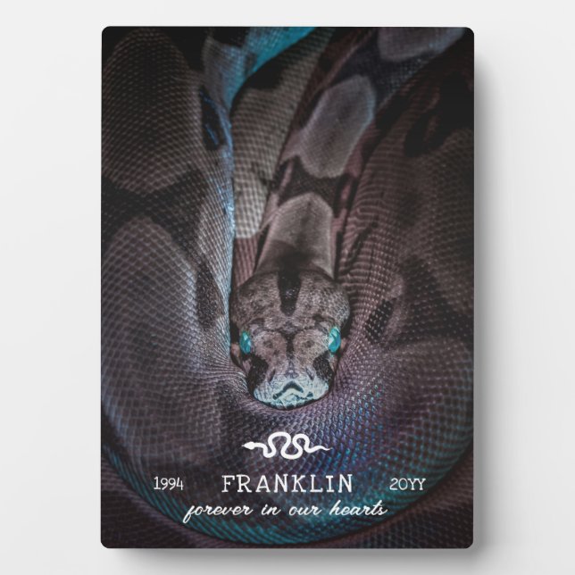 Forever In Our Hearts Pet Snake Photo Plaque (Front)