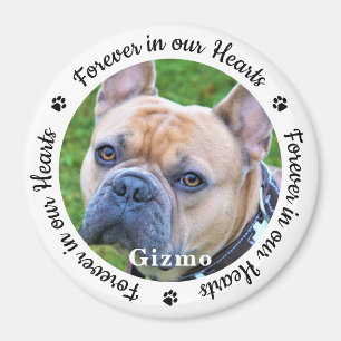 Forever In Our Hearts Photo Pet Dog Memorial Magnet