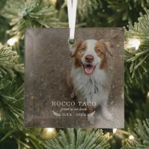Forever In Our Hearts   Photo Pet Memorial Glass Tree Decoration