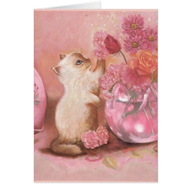 Forever Kitten (Front)