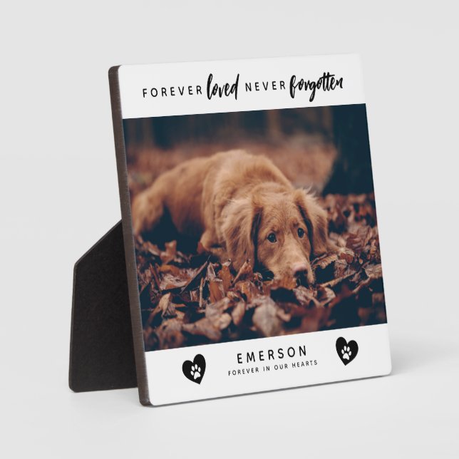 Forever Loved Never Forgotten Photo Pet Memorial Plaque (Front)