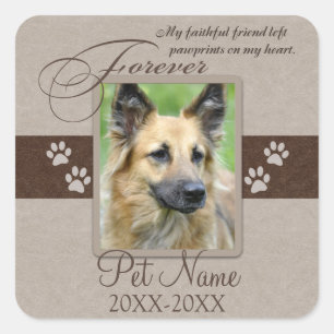 Forever Loved Pet Sympathy Square Sticker