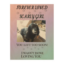 "Forever Loved Rainbow Bridge Tribute with Paws