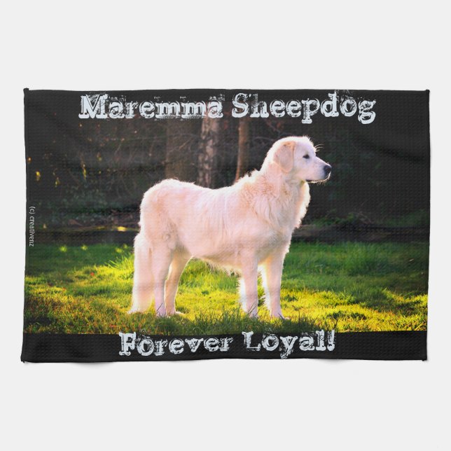 Forever Loyal Maremma Tea Towel (Horizontal)