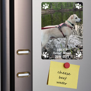 Forever Missed Pet Memorial Modern Photo Custom Magnet
