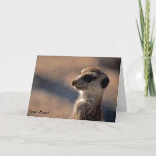 Forever Mozart! Greetings Card