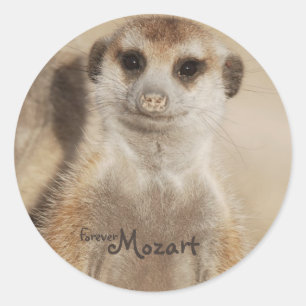 Forever Mozart! Stickers