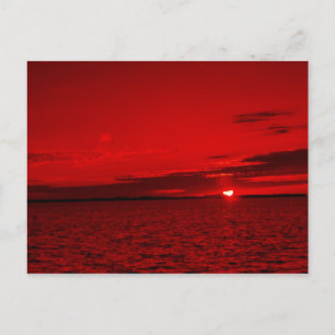 Forever Scarlet Postcard