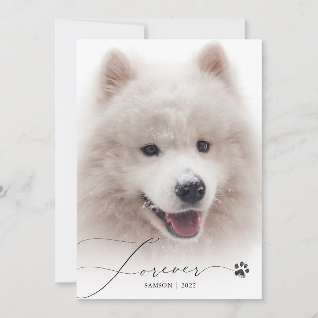 Forever Simple Script Pet Memorial Photo Thank You Card (Front)