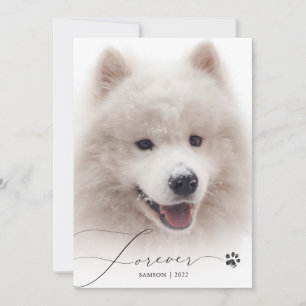 Forever Simple Script Pet Memorial Photo Thank You Card