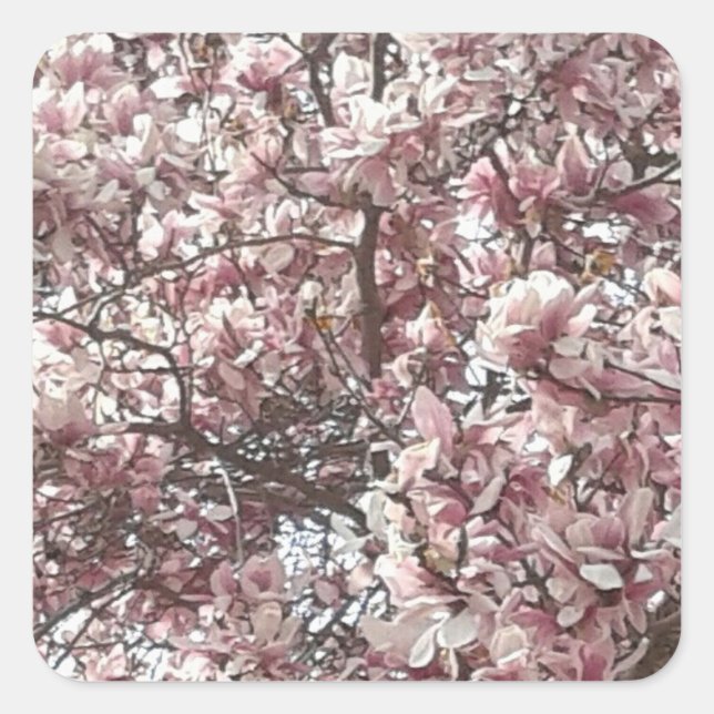 Forever Spring Magnolia Stickers (Front)