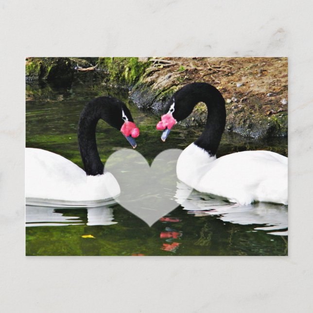 Forever Yours_ Postcard (Front)