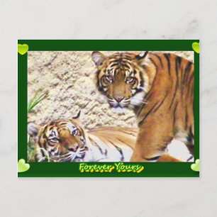 Forever Yours_ Postcard