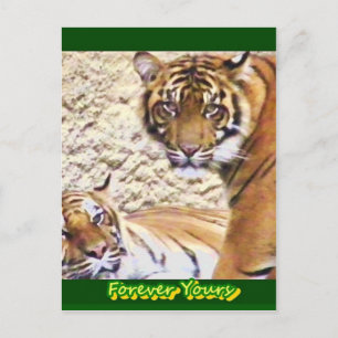 Forever Yours_ Postcard