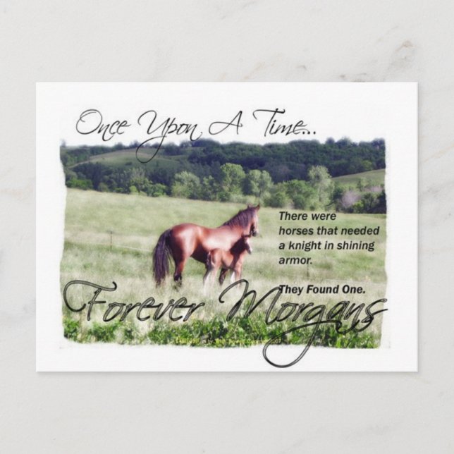 ForeverMorgans Fairytale Morgan Mare and Foal Postcard (Front)
