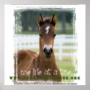 ForeverMorgans: One Life at a Time Poster