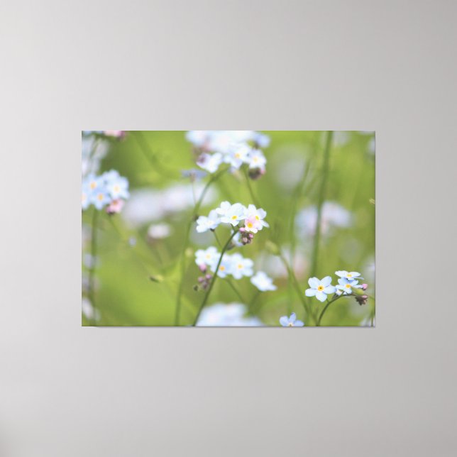 Forget Me Knot Canvas Print (Front)