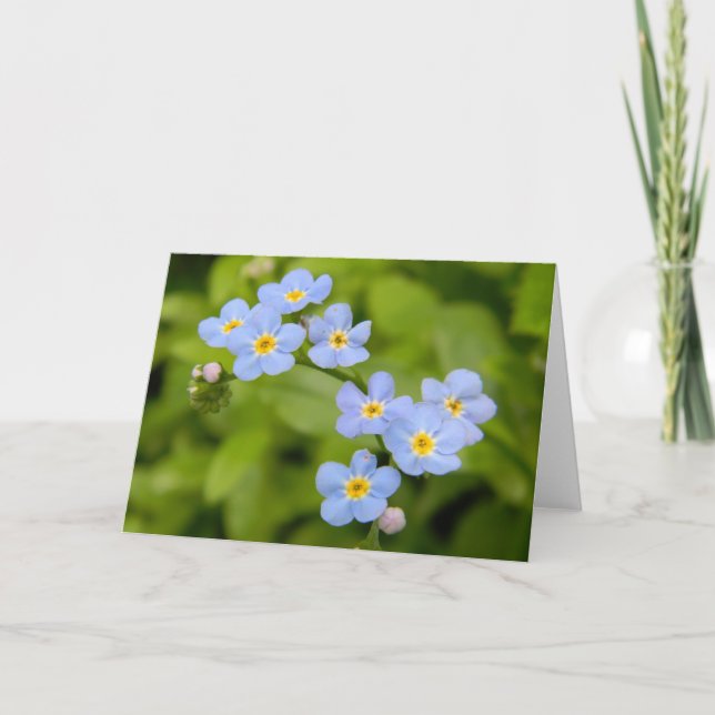 Forget-Me-Not 1 Card (Front)