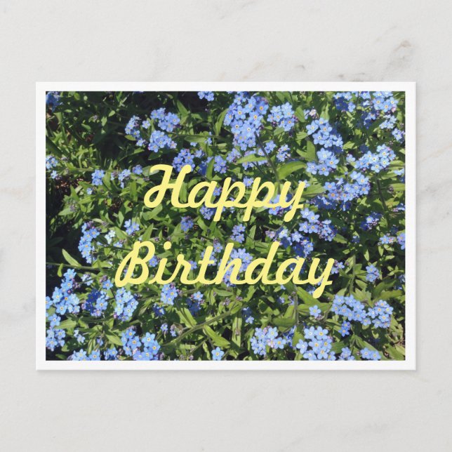 Forget-Me-Not Birthday Postcard (Front)