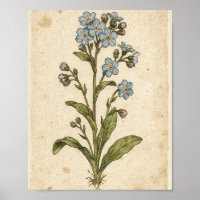 Forget-Me-Not Botanical Flower Art