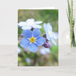 Forget-Me-Not Card