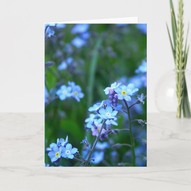 Forget-Me-Not Card (Front)