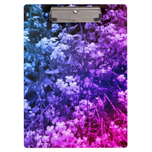 forget me not  clipboard (Front)